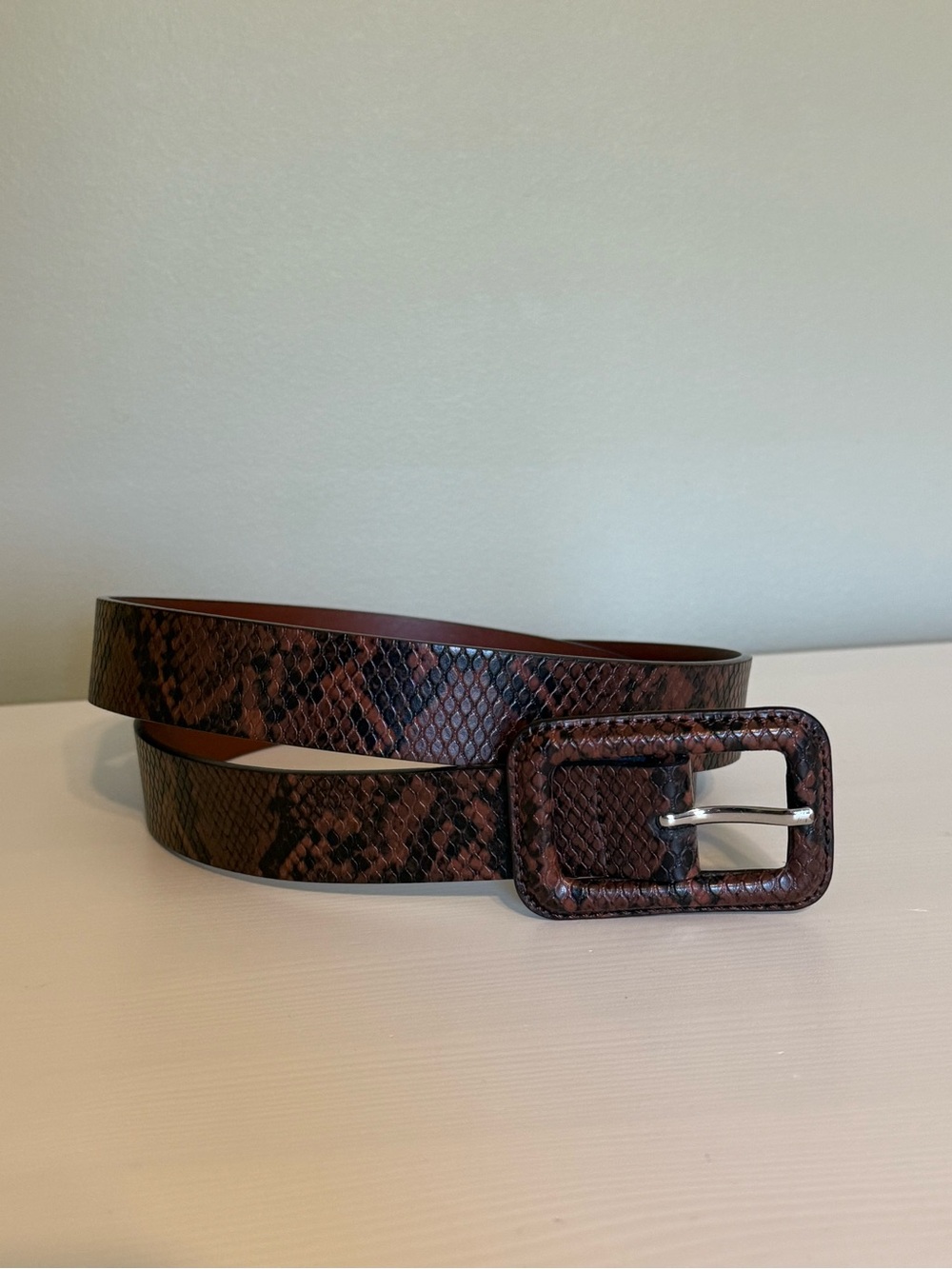 Target Brown Snake-Print Belt with Rectangular Buckle